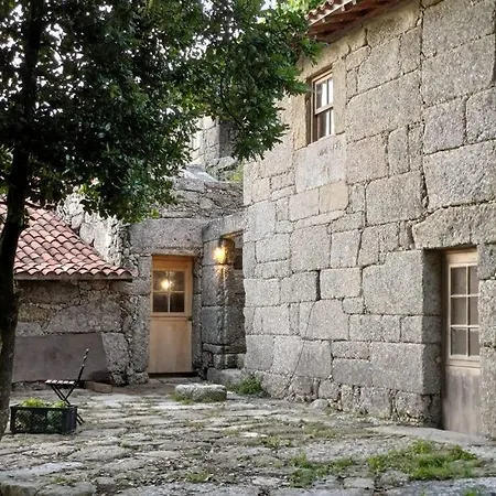 Levada Da Breca - * Ervedeiros