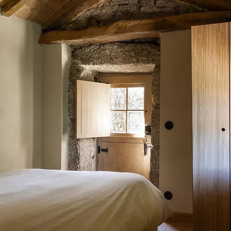 Levada Da Breca - * Ervedeiros