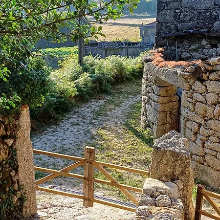 Levada Da Breca - * Ervedeiros