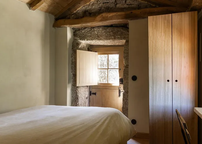 Levada Da Breca - * Ervedeiros