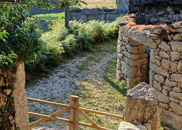 Levada Da Breca - * Ervedeiros